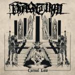 VASTUM Carnal Law CD