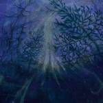 Tetrasigil - Forest Storm Digi CD