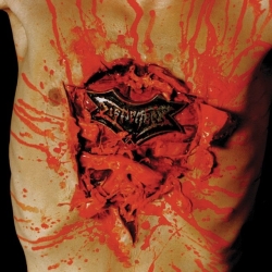 DISMEMBER - Indecent and Obscene 12 LP