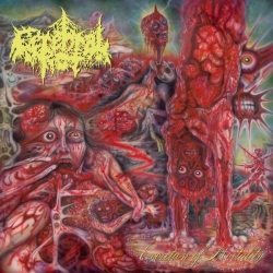 CEREBRAL ROT Excretion Of Mortality CD