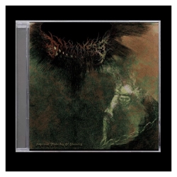 Dizziness - Abhorrent Flickering of Obscurity CD