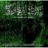 SVOLDER The Beast's Mercenaries CD