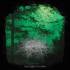 BASARABIAN HILLS Eerie Light of Fireflies CD