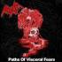 NOXIS Paths Of Visceral fears DIGIPAK CD