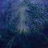 Tetrasigil - Forest Storm Digi CD