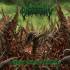 INTESTINAL ENGORGEMENT Putrefying Consumption Of Dismemberment CD
