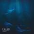 Lhaäd - Beneath Digi CD