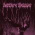 LUCIFER'S HAMMER Hymns To The Moon CD