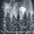 STODOR WILZORUM Aura des ewigen Winters CD