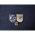DESASTER METAL PIN