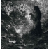 Beorn - Triumph Of The Will